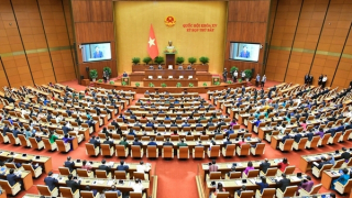 Thảo luận kỹ lưỡng, quyết định công tác nhân sự bảo đảm chặt chẽ, đạt đồng thuận cao