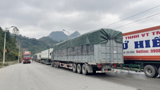 Hoa quả tươi xuất qua cửa khẩu Tân Thanh và Hữu Nghị tăng mạnh