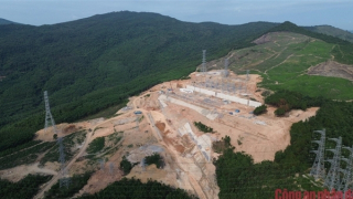 Một công ty bị phạt hành chính 325 triệu đồng và trả tiền tái trồng rừng gần 1 tỷ đồng