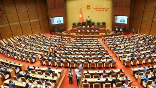 Đại biểu Quốc hội kiến nghị đưa đấu giá biển số xe vào Luật Đấu giá tài sản (sửa đổi)