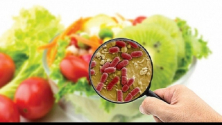 Tìm ra "thủ phạm" khiến hơn 400 công nhân ở Vĩnh Phúc bị ngộ độc