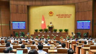 Uỷ ban Thường vụ Quốc hội nhất trí phương án cấm tuyệt đối nồng độ cồn