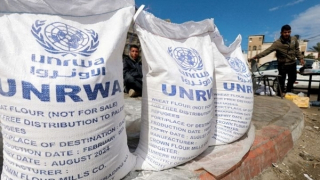 LHQ ngừng phân phối viện trợ ở Gaza vì Israel tấn công không ngừng