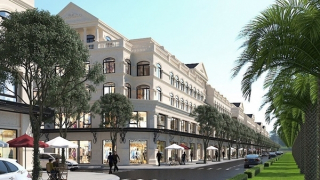 Tìm bị hại vụ nữ giám đốc ở Hải Phòng bị khởi tố