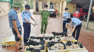 Ngăn chặn thực phẩm “bẩn” vào thị trường