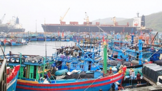 Lộ trình di dời cảng cá Quy Nhơn và vùng phụ cận ra khỏi thành phố