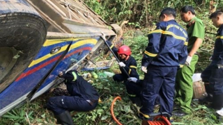 Bổ sung quy định về hoạt động cứu nạn, cứu hộ để phù hợp với Hiến pháp