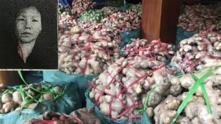 "Vay tiền" đi buôn gừng và nghệ, nữ giám đốc chiếm đoạt hơn 4,5 tỷ đồng