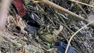 Phát hiện thi thể nghi của kẻ giết người tình rồi tự tử