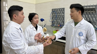 Cứu cánh cho người bệnh cơ - xương - khớp tránh phải điều trị xâm lấn