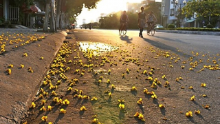 Miền Trung có nơi 39 độ, Nam Bộ mưa to