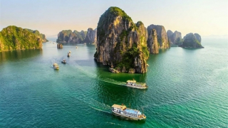 Xử lý nghiêm các phương tiện chở khách du lịch trái phép trên vịnh Hạ Long