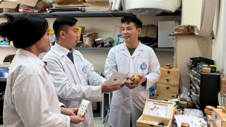 Về thiết bị kết hợp ba tác động trị liệu