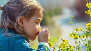 Món quà cho thế giới trẻ thơ