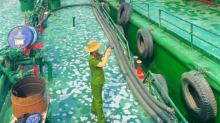 Khởi tố 2 công chức Hải quan Bà Rịa - Vũng Tàu trong vụ buôn lậu xăng dầu