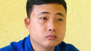 Giả quyết định của Chủ tịch tỉnh để lừa đảo góp vốn trồng rừng