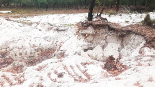 Cần xử lý nghiêm tình trạng khai thác trộm cát trắng ven biển Quảng Trị