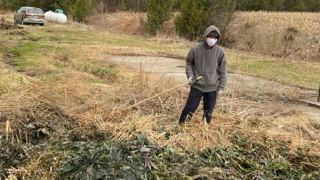 Cảnh giác lừa đảo xuất khẩu lao động sang Canada, Australia