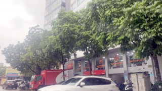 Tăng cường quản lý - siết chặt phòng cháy, chữa cháy