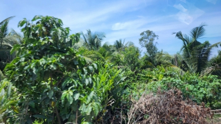 Vành đai 3 TP Hồ Chí Minh có nguy cơ chậm tiến độ do “giải phóng mặt bằng trên giấy”