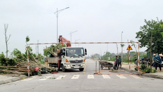 Hà Tĩnh chậm báo cáo về các dự án trồng cây xanh của Công ty Công Minh