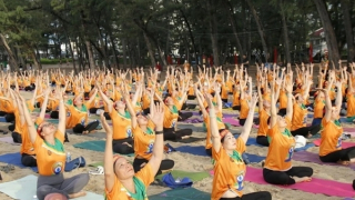 Hơn 600 người đồng diễn  nhân Ngày quốc tế Yoga lần thứ 10