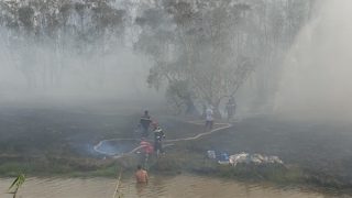 Khống chế kịp thời đám cháy xảy ra tại Vườn Quốc gia Tràm Chim