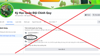 Bị lừa 1,6 tỷ đồng vì đăng ký cho con tham gia trại hè giả mạo