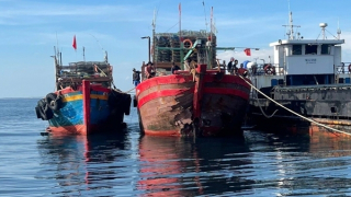 Tàu đánh cá va chạm với tàu hàng, 8 ngư dân may mắn được cứu sống