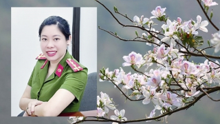 Bông hoa trên giảng đường