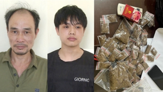 Khởi tố vụ án mua bán trái phép ma túy dạng thực vật