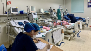 Hà Nội ghi nhận ca mắc viêm não Nhật Bản đầu tiên