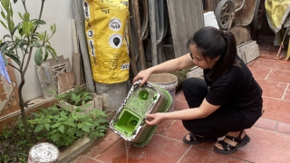 Sốt xuất huyết ở Hà Nội đang gia tăng