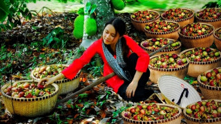 Khai mạc Lễ hội mùa trái chín 2024 với chủ đề “Lái Thiêu mùa hẹn”