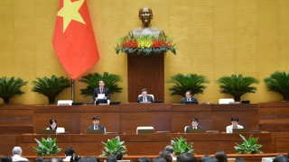 Cao tốc Bắc - Nam đoạn Gia Nghĩa - Chơn Thành: Đề nghị tăng cường giám sát cơ chế chỉ định thầu