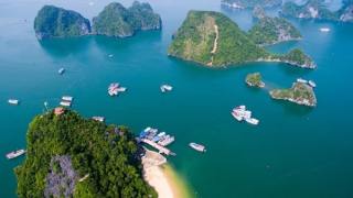 Xác minh, làm rõ việc tàu du lịch “bỏ rơi” khách trên vịnh Hạ Long