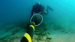 Đến năm 2030, Việt Nam sẽ đưa vào hoạt động 10 tuyến cáp biển mới