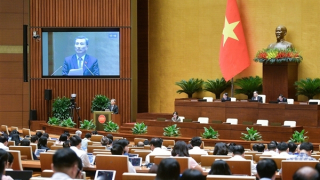 Chính phủ đề xuất không đấu giá quyền khai thác đối với một số loại khoáng sản