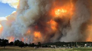 Hàng nghìn công trình bị phá hủy do cháy rừng ở Mỹ