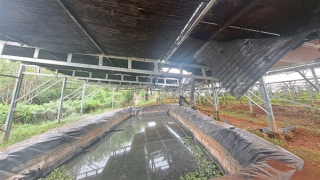 Hệ thống năng lượng mặt trời áp mái bị lửa thiêu rụi 100 tấm pin