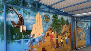 Ấn tượng hoạt động vẽ tranh cổ động bảo vệ rừng trong trường học tại Quảng Nam