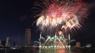 Đức và Ba Lan khắc họa “Tình yêu diệu kỳ” trong đêm thi thứ 3 của DIFF 2024