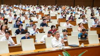 Quốc hội nhất trí thành lập Khu thương mại tự do Đà Nẵng gắn với Cảng biển Liên Chiểu