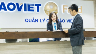 Tập đoàn Bảo Việt dành hơn 745 tỷ đồng chi trả cổ tức bằng tiền, tương đương tỷ lệ 10,037%