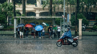 Mưa khắp cả nước, Hà Nội có nắng nhẹ trời mát