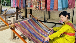 Thoi chỉ giữa đền đài