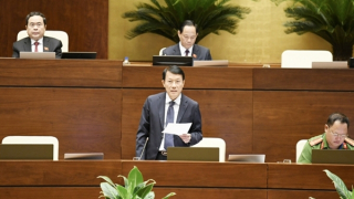 Cấm tuyệt đối nồng độ cồn khi điều khiển phương tiện giao thông