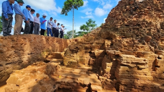 Phát hiện hơn 4.800 tiêu bản trong Tháp đôi Liễu Cốc ngàn năm tuổi