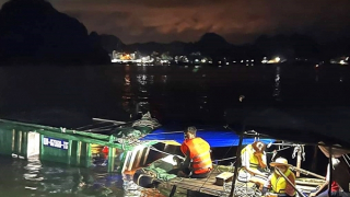 Chủ tàu cá tử vong trong khoang trên biển Vân Đồn