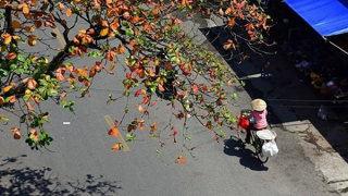 Bắc và Trung Bộ nắng rát diện rộng